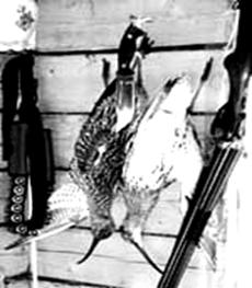 �������: ������������� ����������� �� �������� � ������ ������� 