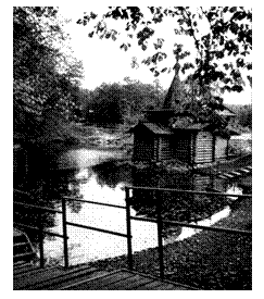 �������:  