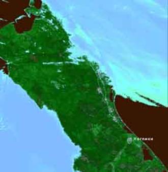 �������: ������ ������ 