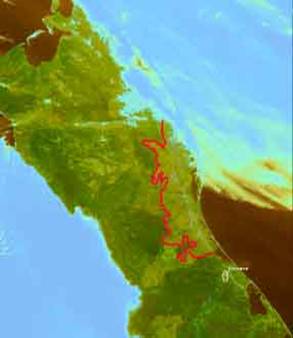 �������: ������ ������ 